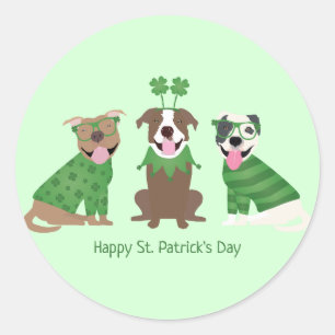 Happy St Patricks Day Pit Bull Dogs Classic Round Sticker