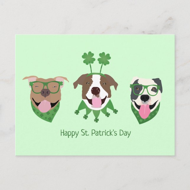 Happy St Patricks Day Pit Bull Dogs Postcard (Front)