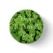 Happy St. Patrick's Day Shamrocks Button
