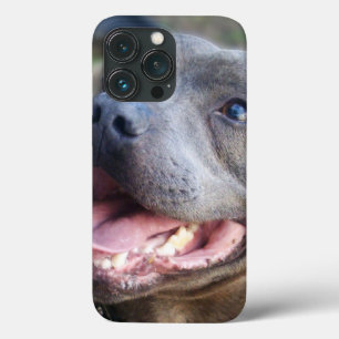 Happy Staffordshire Bull Terrier, iPhone 13 Pro Case