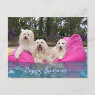Happy Summer! Postcard