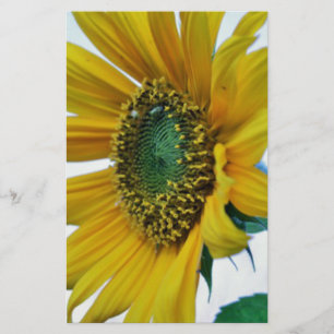 Happy Sunflower Stationery