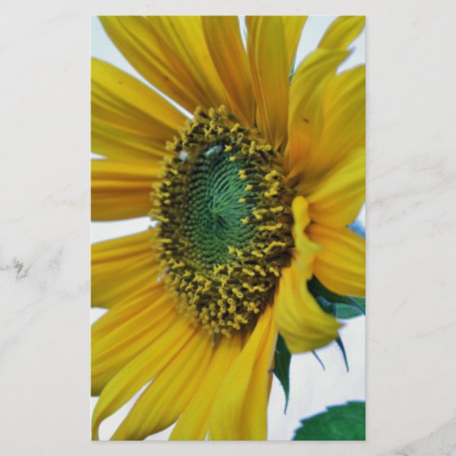Happy Sunflower Stationery (Front)