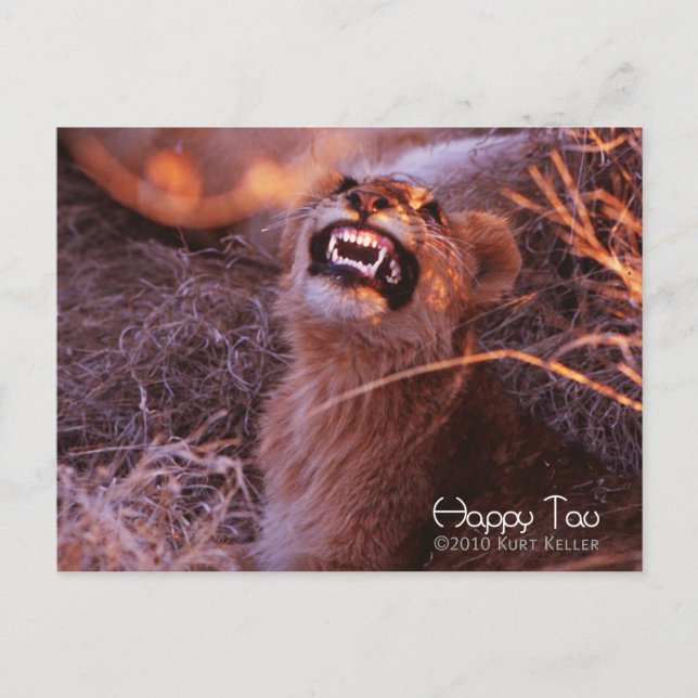 Happy Tau Postcard (Front)