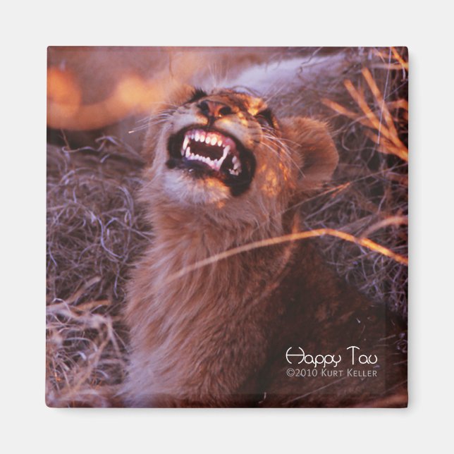 Happy Tau, Smiling Lion Cub Magnet (Front)