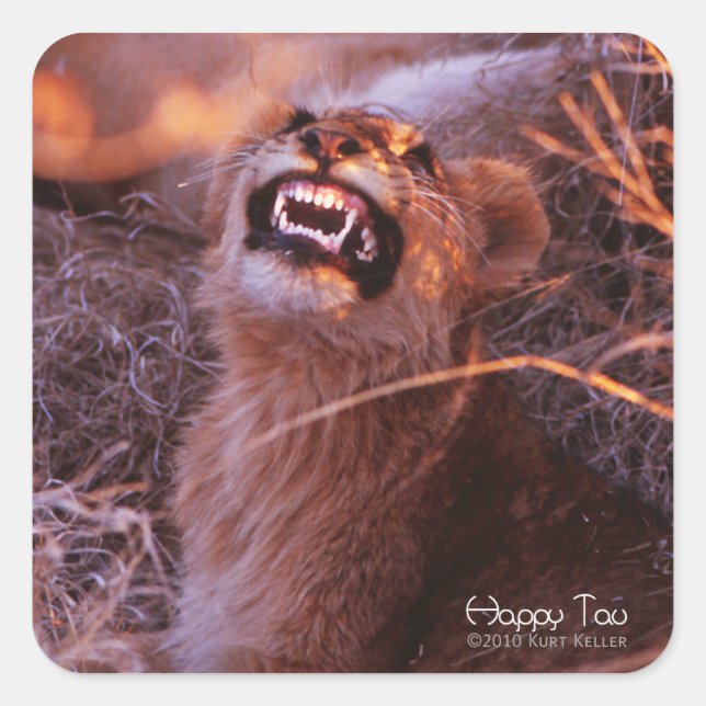 Happy Tau, Smiling Lion Cub Square Sticker (Front)