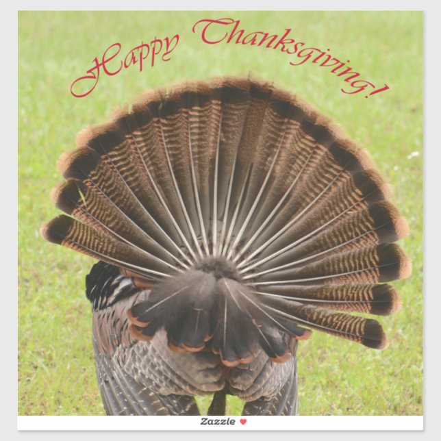 Happy Thanksgiving (Sheet)