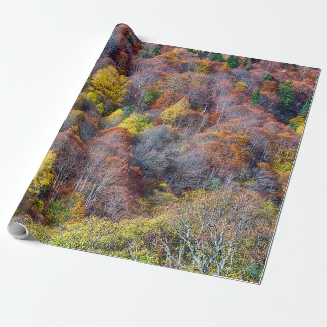 Happy Thanksgiving Beautiful View Autumn forest    Wrapping Paper (Unrolled)