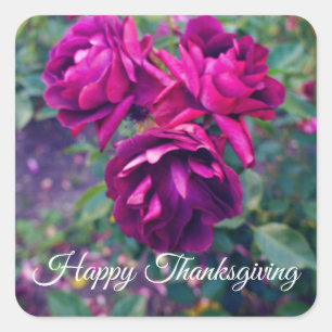 Happy Thanksgiving Burgundy Iceberg Rose#3 Sticker