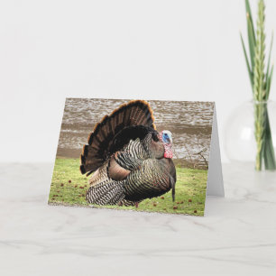 Happy Thanksgiving Card