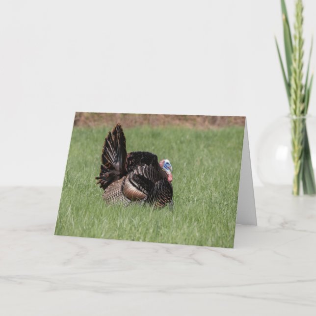 Happy Thanksgiving Card (Front)