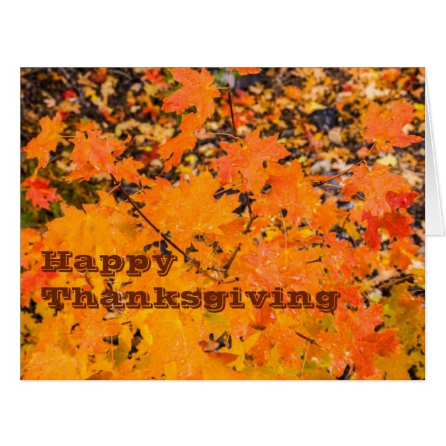 Happy Thanksgiving - Cards - Holiday (Front Horizontal)