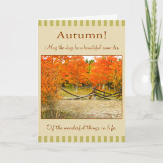 Happy Thanksgiving! Colourful Autumn Aspens Holiday Card