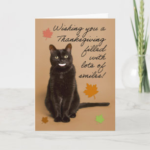 Happy Thanksgiving For Anyone Funny Cat With Human Holiday Card