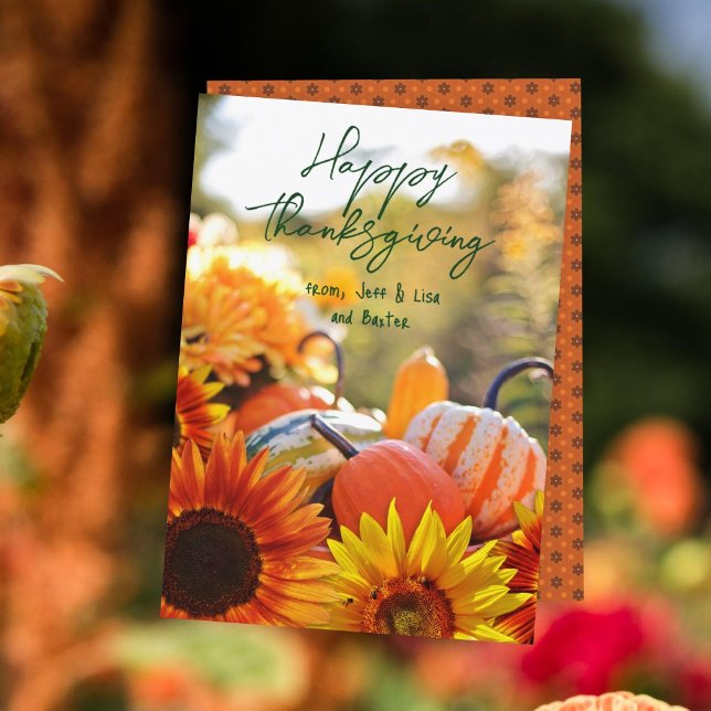 Happy Thanksgiving Friends Sunflower Pumpkins Card (Creator Uploaded)