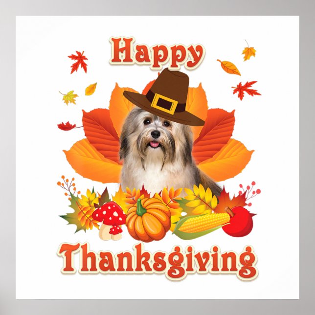 Happy Thanksgiving Havanese Dog Im Thankful Poster (Front)