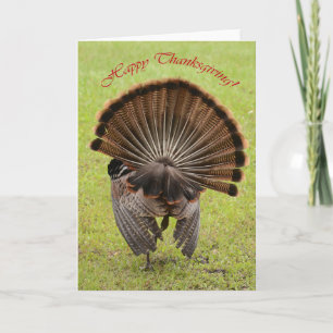 Happy Thanksgiving Holiday Card