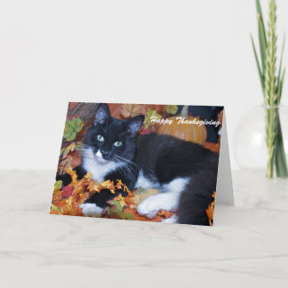 Happy Thanksgiving Holiday Card