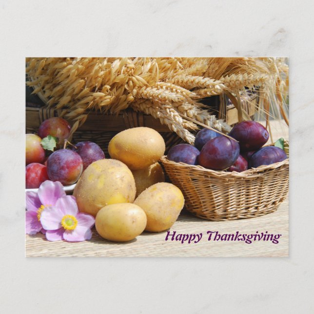 Happy Thanksgiving Holiday Postcard (Front)