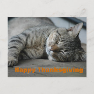 happy thanksgiving holiday postcard