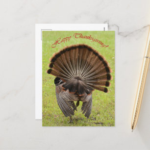 Happy Thanksgiving Holiday Postcard