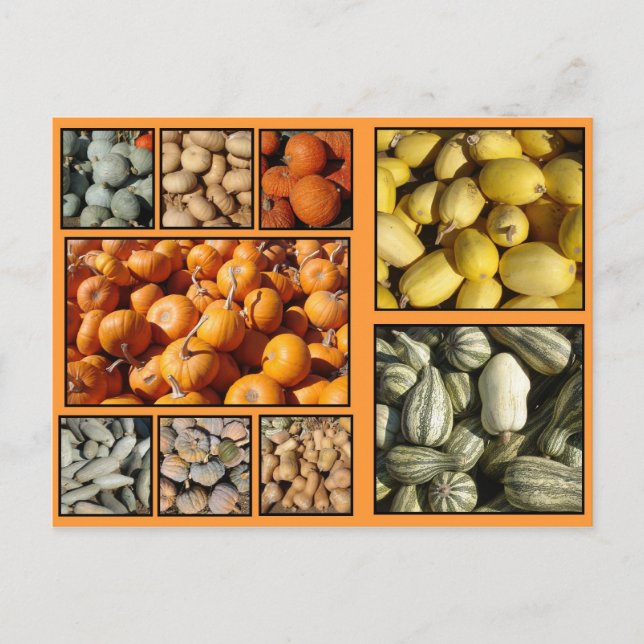 Happy Thanksgiving Holiday Postcard (Front)