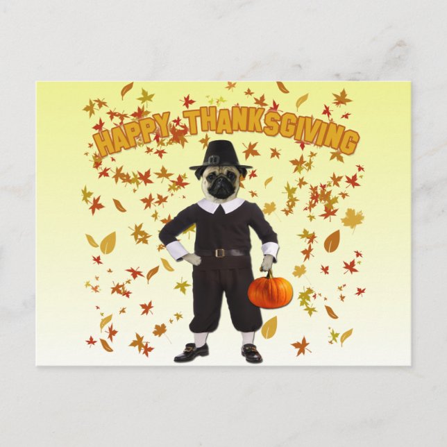 Happy Thanksgiving Pug Postcard (Front)