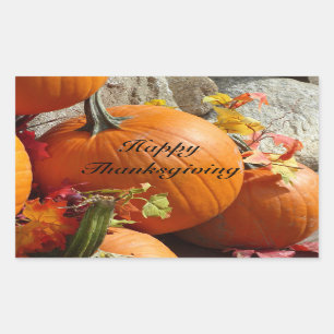 Happy Thanksgiving Rectangle Pumpkin Stickers