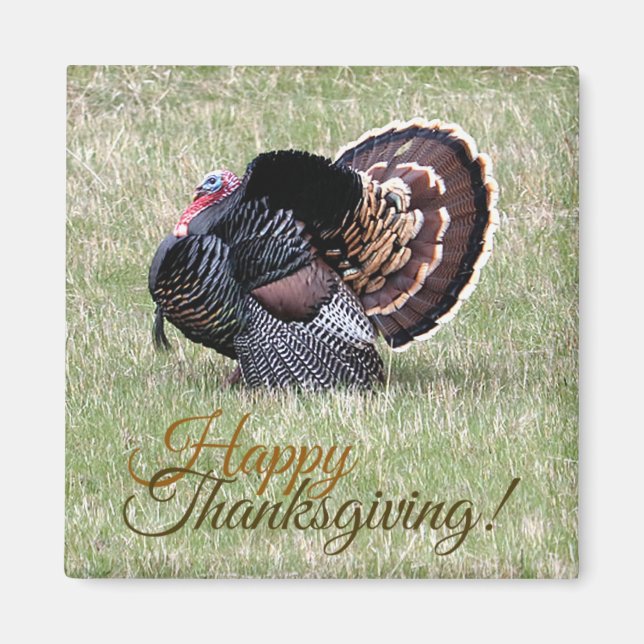 Happy Thanksgiving Wild Turkey Magnet (Front)