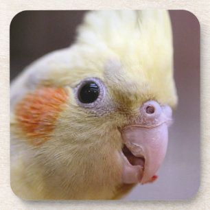 Happy tiel coaster