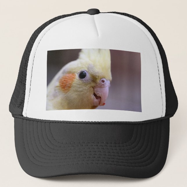 Happy  tiel trucker hat (Front)