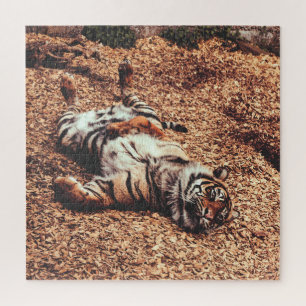 Happy Tiger Belly Up Rolling in Leaves Jigsaw Puzzle
