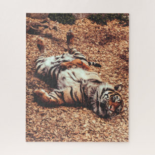 Happy Tiger Belly Up Rolling in Leaves Jigsaw Puzzle