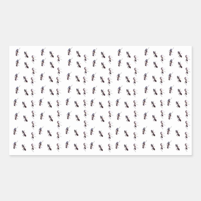 Happy Trails - ant #1 Rectangular Sticker (Front)