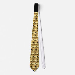 "Happy Trails" tie