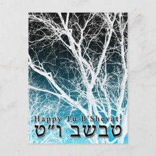 Happy Tu B’Shevat! Jewish Arbor Day 2 Postcard
