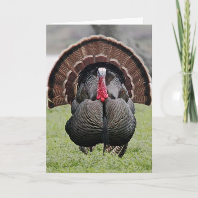 Happy Turkey Day! Holiday Card (Front)