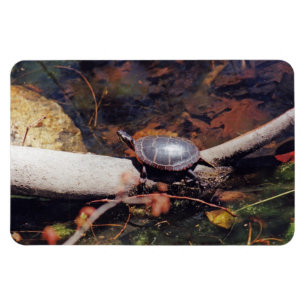Happy Turtle Magnet
