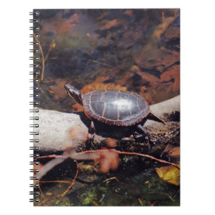 Happy Turtle Notebook