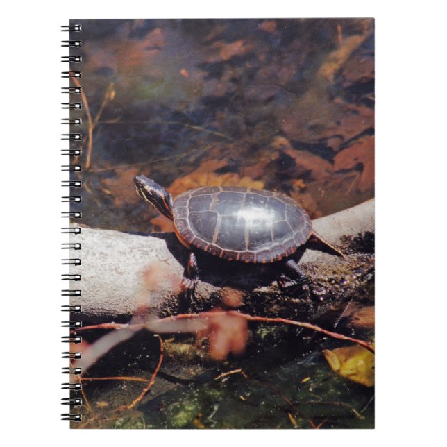 Happy Turtle Notebook (Front)