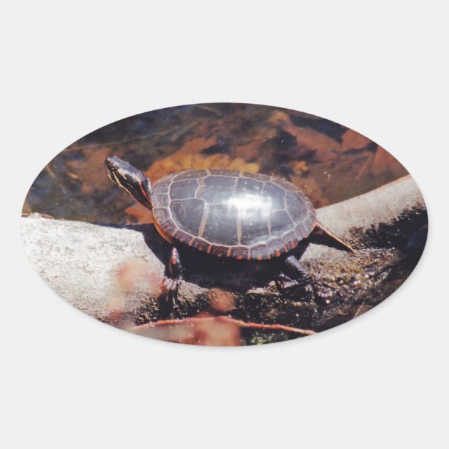 Happy Turtle Oval Sticker (Front)