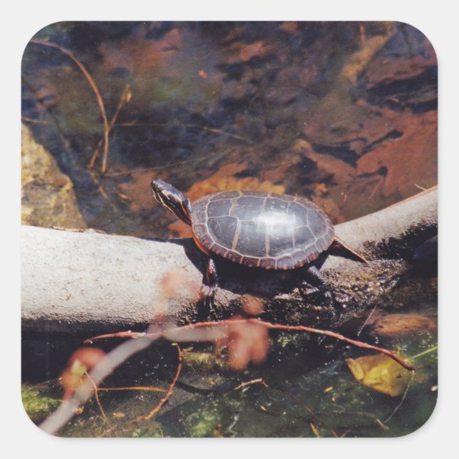 Happy Turtle Square Sticker (Front)