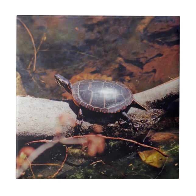 Happy Turtle Tile (Front)