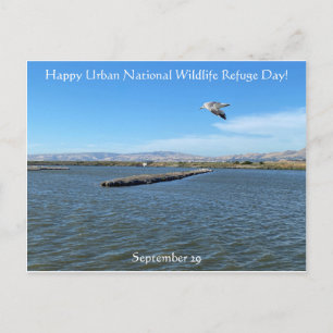 Happy Urban National Wildlife Refuge Day! Postcard