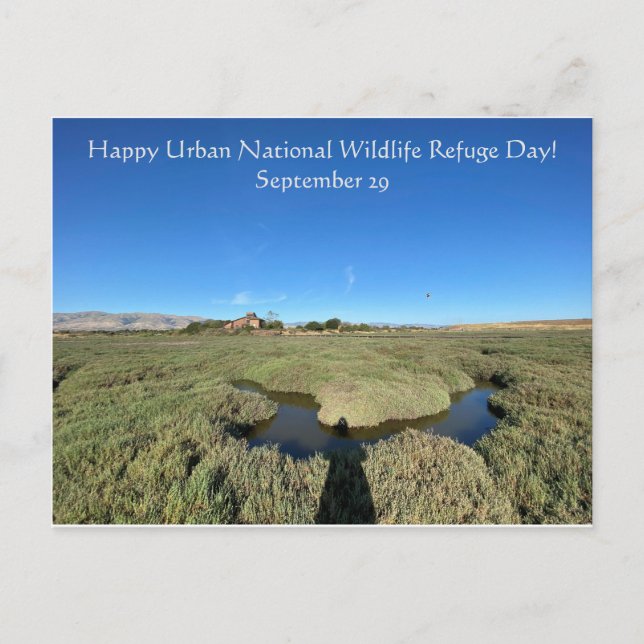 Happy Urban National Wildlife Refuge Day! Postcard (Front)