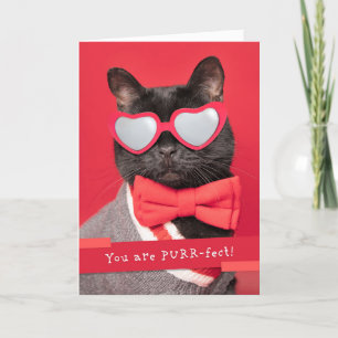 Happy Valeneitne's Day Cute Cat in Heart Glasses Holiday Card