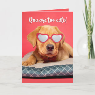 Happy Valeneitne's Day Cute Labrador Puppy Humour Holiday Card