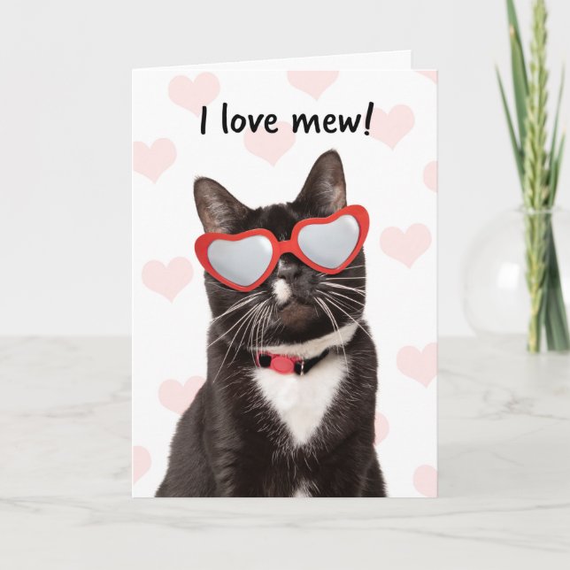 Happy Valeneitne's Day I Love Mew Cute Cat Holiday Card (Front)