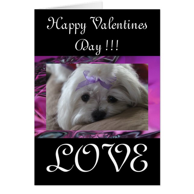 Happy Valentines Day (Front)