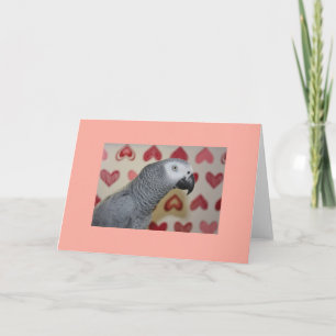 Happy Valentine's Day African Grey Greeting Card